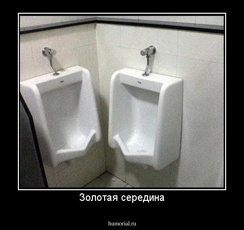 Золотая середина