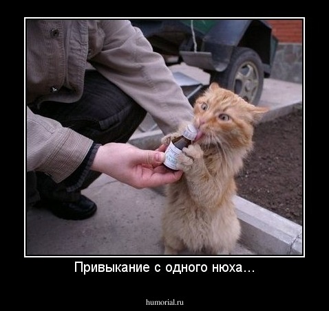 Привыкание с одного нюха...