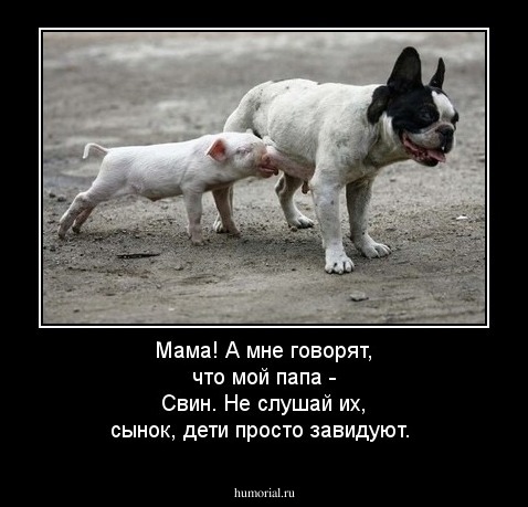 Мама! А мне говорят, что мой папа - Свин.
Не слушай их, сынок, дети просто завидуют.