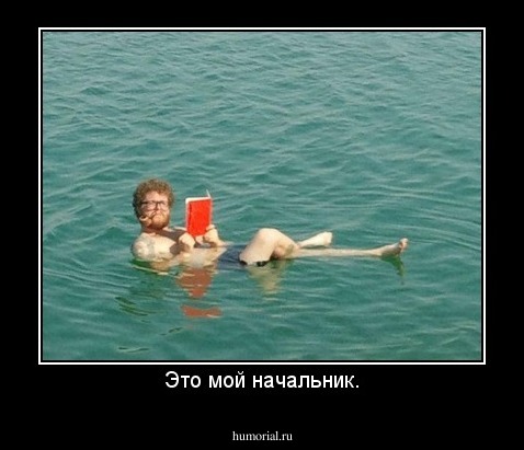 Это мой начальник.