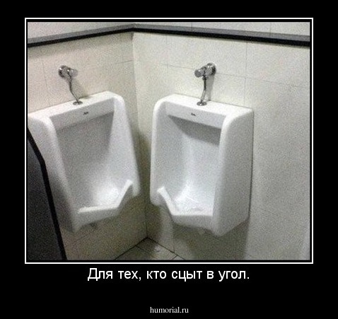 Для тех, кто сцыт в угол.
