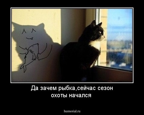 Да зачем рыбка,сейчас сезон охоты начался