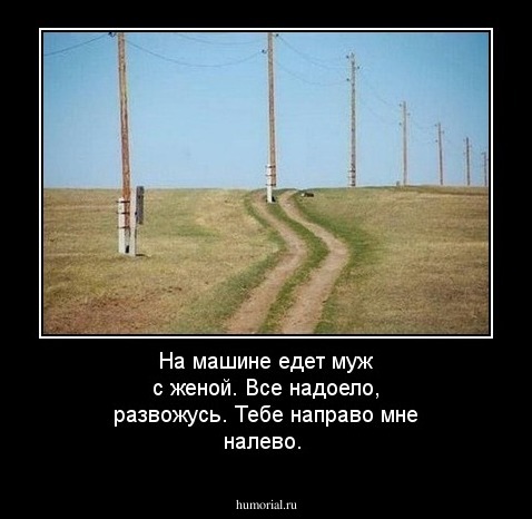 На машине едет муж с женой. Все надоело, развожусь. Тебе направо мне налево.