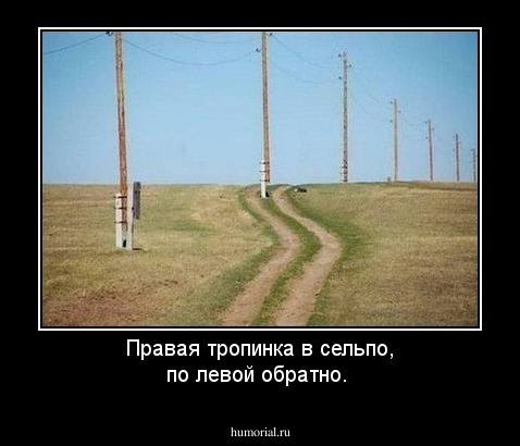 Правая тропинка в сельпо, по левой обратно.
 