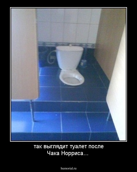 так выглядит туалет после Чака Норриса...