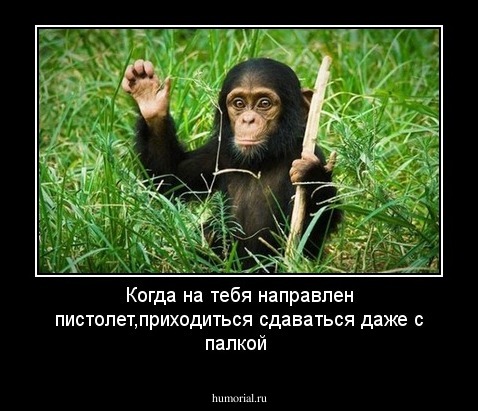 Когда на тебя направлен пистолет,приходиться сдаваться даже с палкой