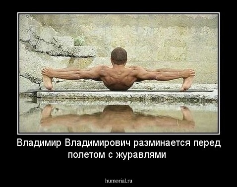 Владимир Владимирович разминается перед полетом с журавлями