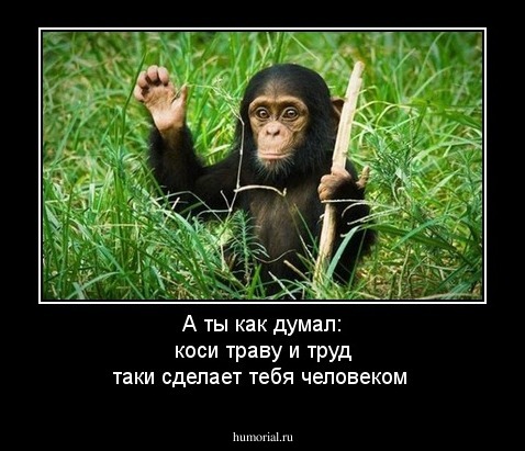 А ты как думал:  коси траву и труд таки сделает тебя человеком