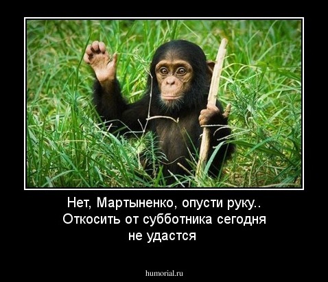 Нет, Мартыненко, опусти руку.. Откосить от субботника сегодня не удастся