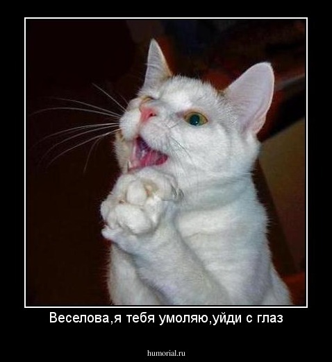 Веселова,я тебя умоляю,уйди с глаз