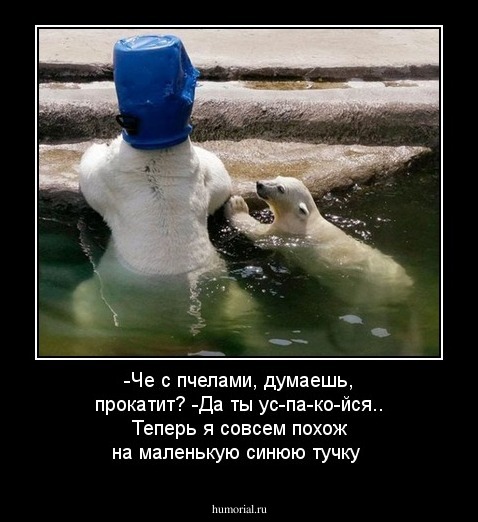 -Че с пчелами, думаешь, прокатит?
 -Да ты ус-па-ко-йся.. Теперь я совсем похож на маленькую синюю тучку