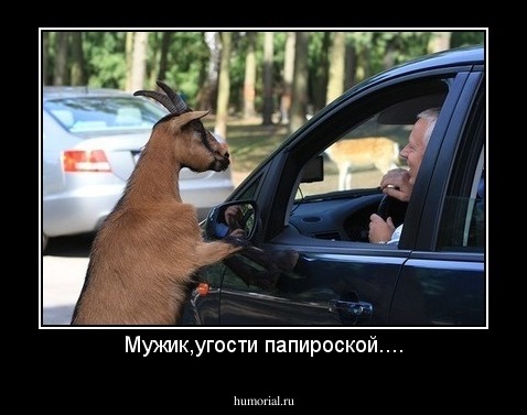 Мужик,угости папироской....