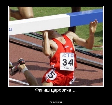Финиш царевича....