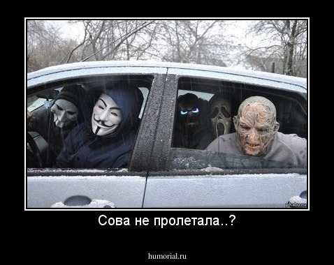 Сова не пролетала..?