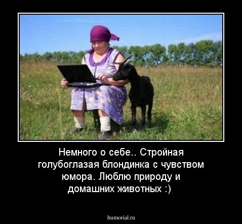 Немного о себе.. Стройная голубоглазая блондинка с чувством юмора. Люблю природу и домашних животных :)
