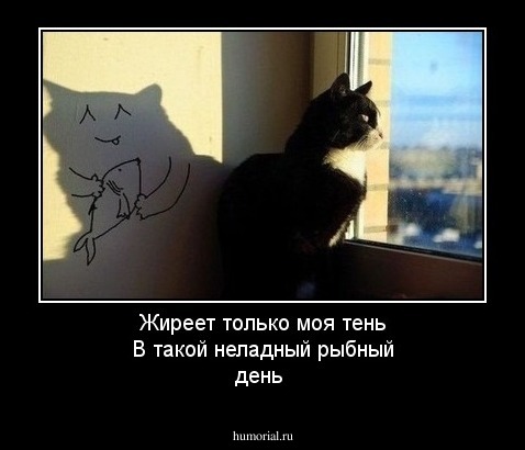 Жиреет только моя тень
В такой неладный рыбный день