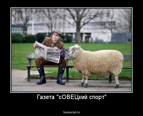 Газета "сОВЕЦкий спорт"