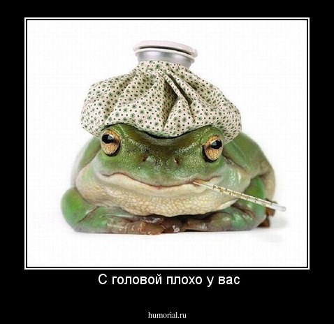  С головой плохо у вас