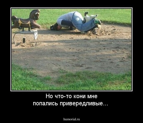 Но что-то кони мне попались привередливые...
