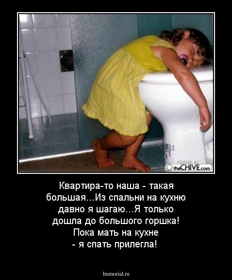 Квартира-то наша - такая большая...Из спальни  на кухню давно я шагаю...Я только дошла до большого горшка! Пока мать на кухне - я спать прилегла!