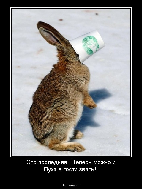 Это последняя...Теперь можно и Пуха в гости звать!