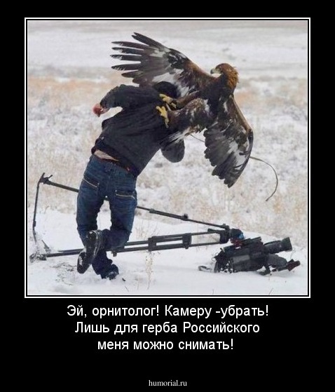 Эй, орнитолог! Камеру -убрать! Лишь для герба Российского меня можно снимать!