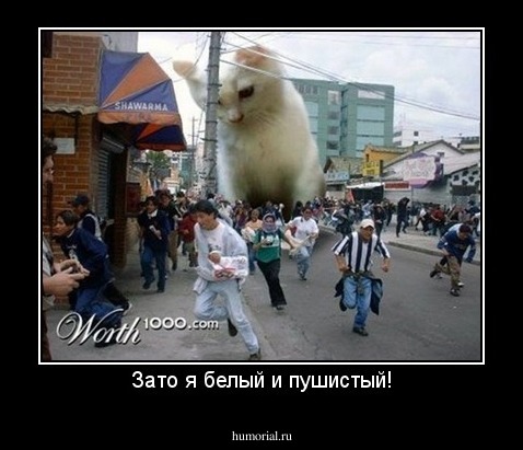 Зато я белый и пушистый!