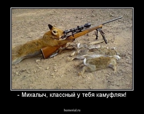 - Михалыч, классный у тебя камуфляж!