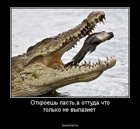Откроешь пасть,а оттуда что только не вылазиет
