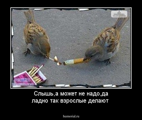 Слышь,а может не надо,да ладно так взрослые делают