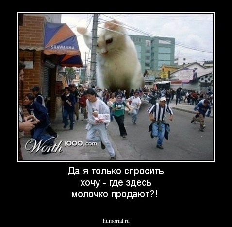 Да я только спросить хочу - где здесь молочко продают?!
