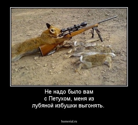Не надо было вам с Петухом, меня из лубяной избушки выгонять.