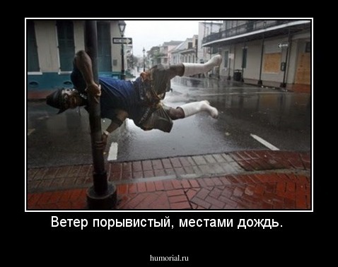 Ветер порывистый, местами дождь. 