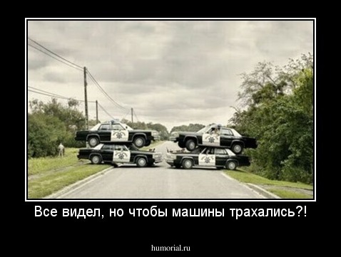 Все видел, но чтобы машины трахались?!