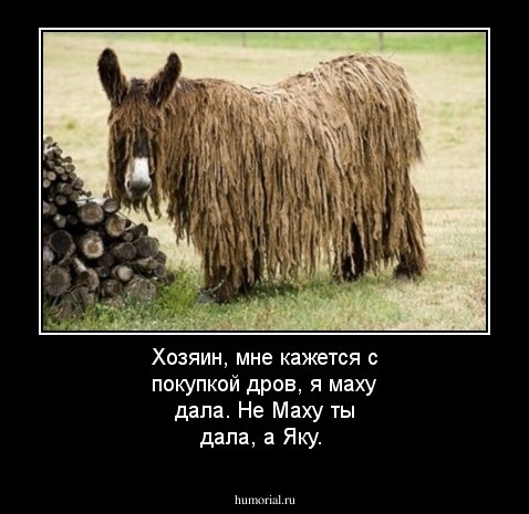 Хозяин, мне кажется с покупкой дров, я маху дала. 
Не Маху ты дала, а Яку.