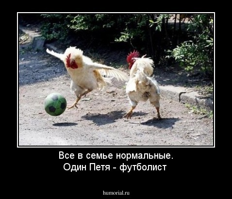 Все в семье нормальные. Один Петя - футболист