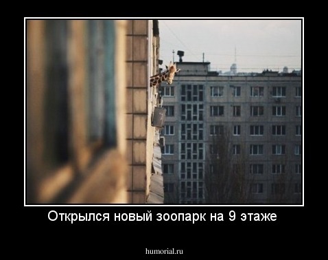 Открылся новый зоопарк на 9 этаже 