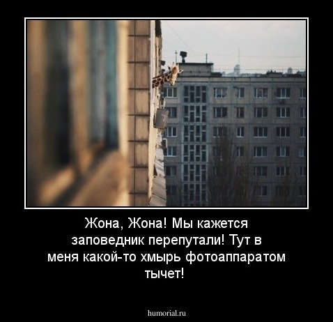 Жона, Жона! Мы кажется заповедник перепутали! Тут в меня какой-то хмырь фотоаппаратом тычет!