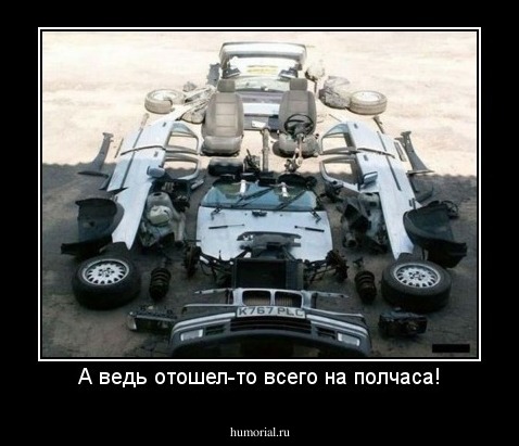 А ведь отошел-то всего на полчаса!