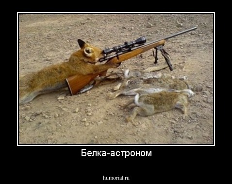 Белка-астроном