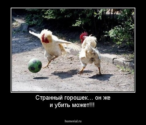 Странный горошек... он же и убить может!!!