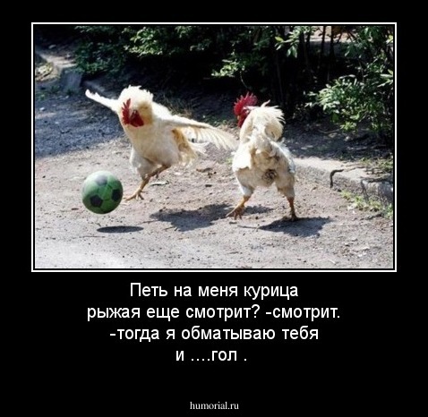 Петь на меня курица рыжая еще смотрит?
-смотрит.
-тогда я обматываю тебя и ....гол .