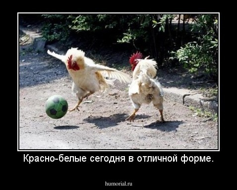 Красно-белые сегодня в отличной форме.