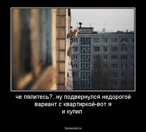 че пялитесь?..ну подвернулся недорогой вариант с квартиркой-вот я и купил