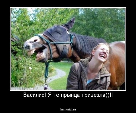 Василис! Я те прынца привезла))!!