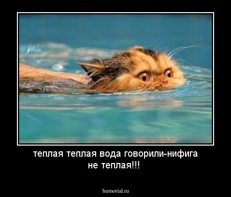 теплая теплая вода говорили-нифига не теплая!!!