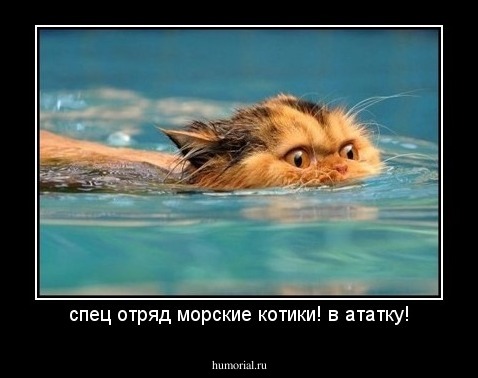 спец отряд морские котики! в ататку!