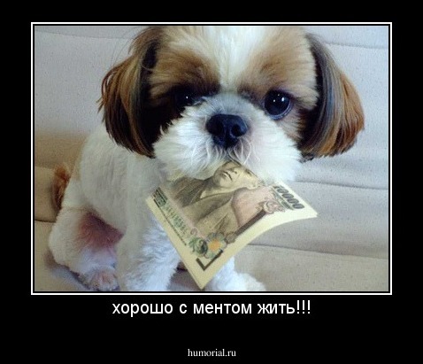 хорошо с ментом жить!!!