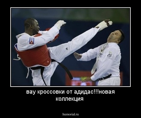 вау кроссовки от адидас!!!новая коллекция