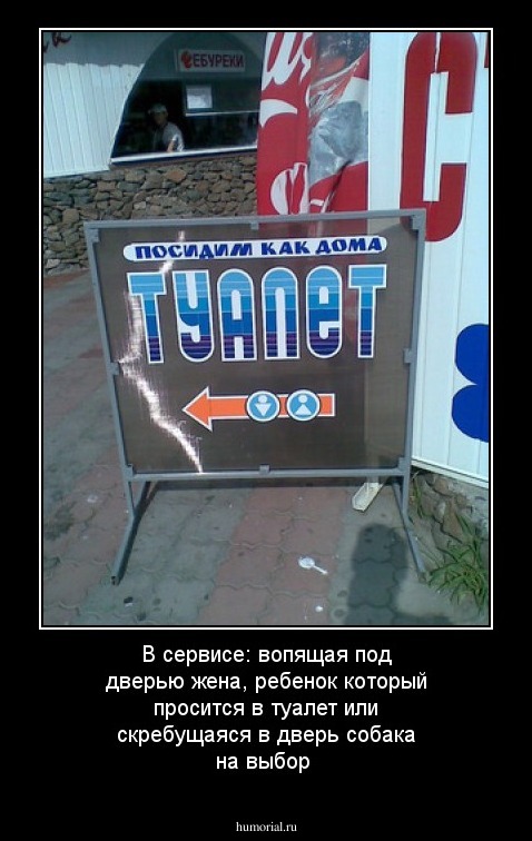 В сервисе: вопящая под дверью жена, ребенок который просится в туалет или скребущаяся в дверь собака на выбор